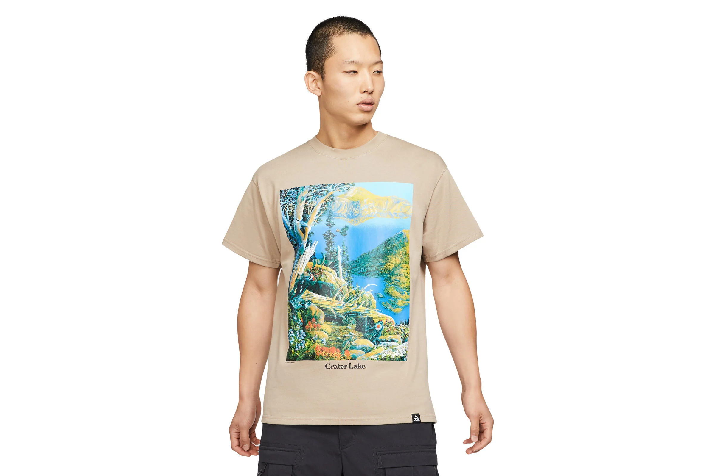 Nike ACG CRATER LAKE T-SHIRT "BROWN"