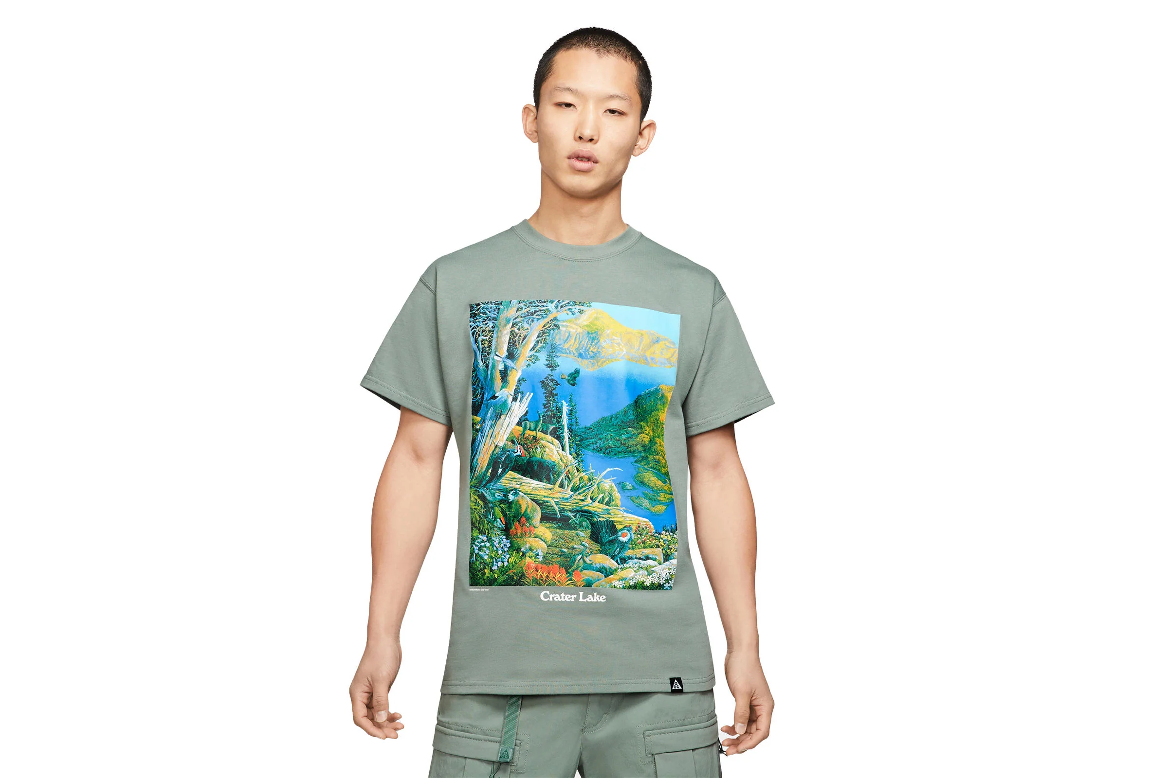 Nike ACG CRATER LAKE T-SHIRT "GREEN"