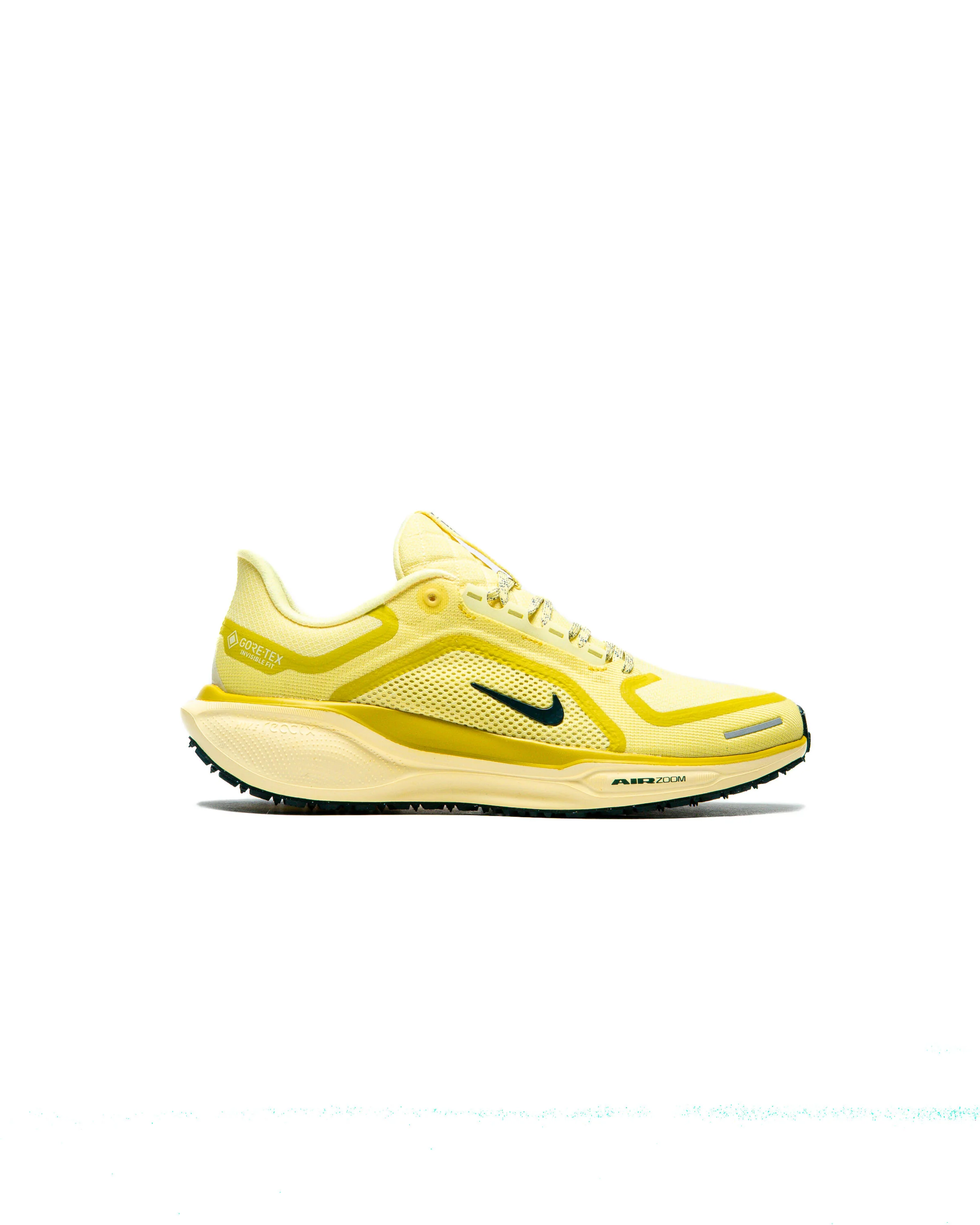 Nike AIR ZOOM PEGASUS 41 Gore-Tex